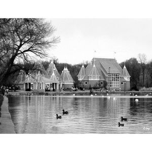 CANVAS SATIN WRAP: Lake Harriet Parkway